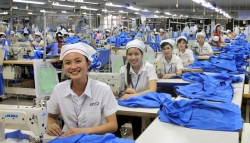 conditions to apply c o for transit cargo temporary import  re export in vietnam