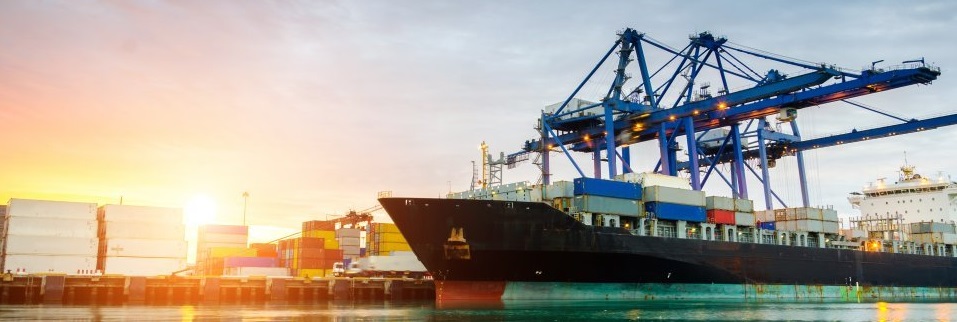 ship nvocc agencies