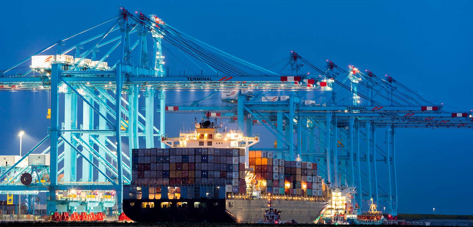 ship nvocc agencies