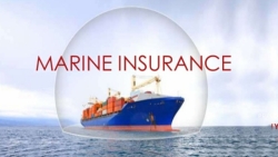 a case study about valued policy insurance through a dispute case