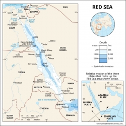 houthi announce temporary halt to red sea attacks after two years