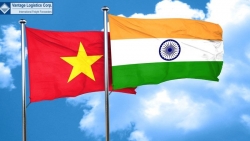 the opportunities for vietnamese enterprises to export goods to india