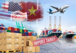 u s  imposes 20  tariff on vietnamese goods  compliance challenges and the need to rethink export strategy