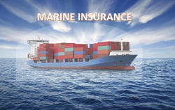 advice from expert  insured value or  ??how much do i insure my goods for  ??