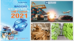 vietnam import  ?? export report 2021