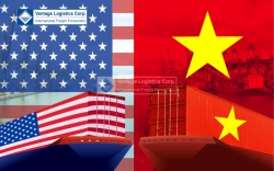 gia lai  formerly binh dinh  amid trade turbulence  wood and stone businesses struggle in the u s  market