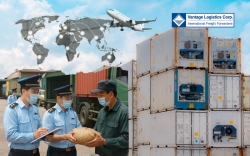 government extends suspension of decree 46  easing pressure on imported food supply chains