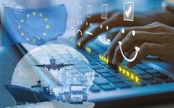 guidance on acceptable and unacceptable terms for the description of goods exported to european market  ics2