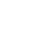 stabilized management team