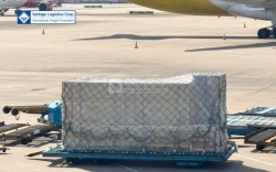 vantage logistics successfully executes oversized air cargo shipment via dedicated freighter aircraft