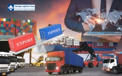 viet nam ??s import ??export performance 2025  usd 930 billion record while trade surplus narrows