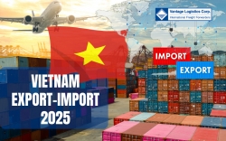 viet nam export ??import statistics 2025