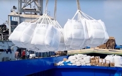 vietnam rises to top 2 in global rice exports  ?? logistics keeps the flow steady