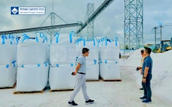 silica sand   high tech mineral exports from central vietnam to china  a strategic growth opportunity through 2025